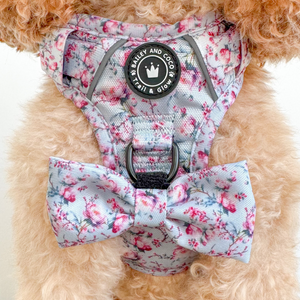 Trail & Glow® Dog Harness Bundle Set - Peony Blossom