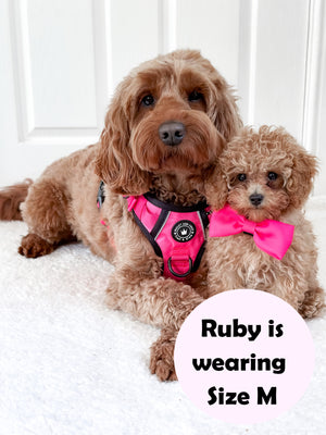 Dog Harness and Lead Set - The Hot Pink One.