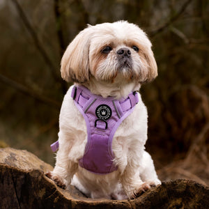 Trail & Glow® Dog Harness - The Lilac One.