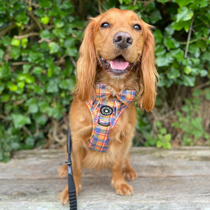 Bow Tie - Rustic Tartan.