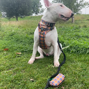 Trail & Glow® Collar - Rustic Tartan.