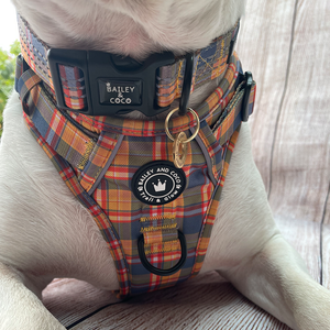 Trail & Glow® Collar - Rustic Tartan.