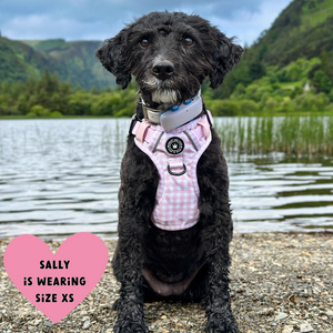 Trail & Glow® Dog Harness Bundle Set - Gingham Dreams