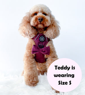 Trail & Glow® Dog Harness - Mulberry Tweed.