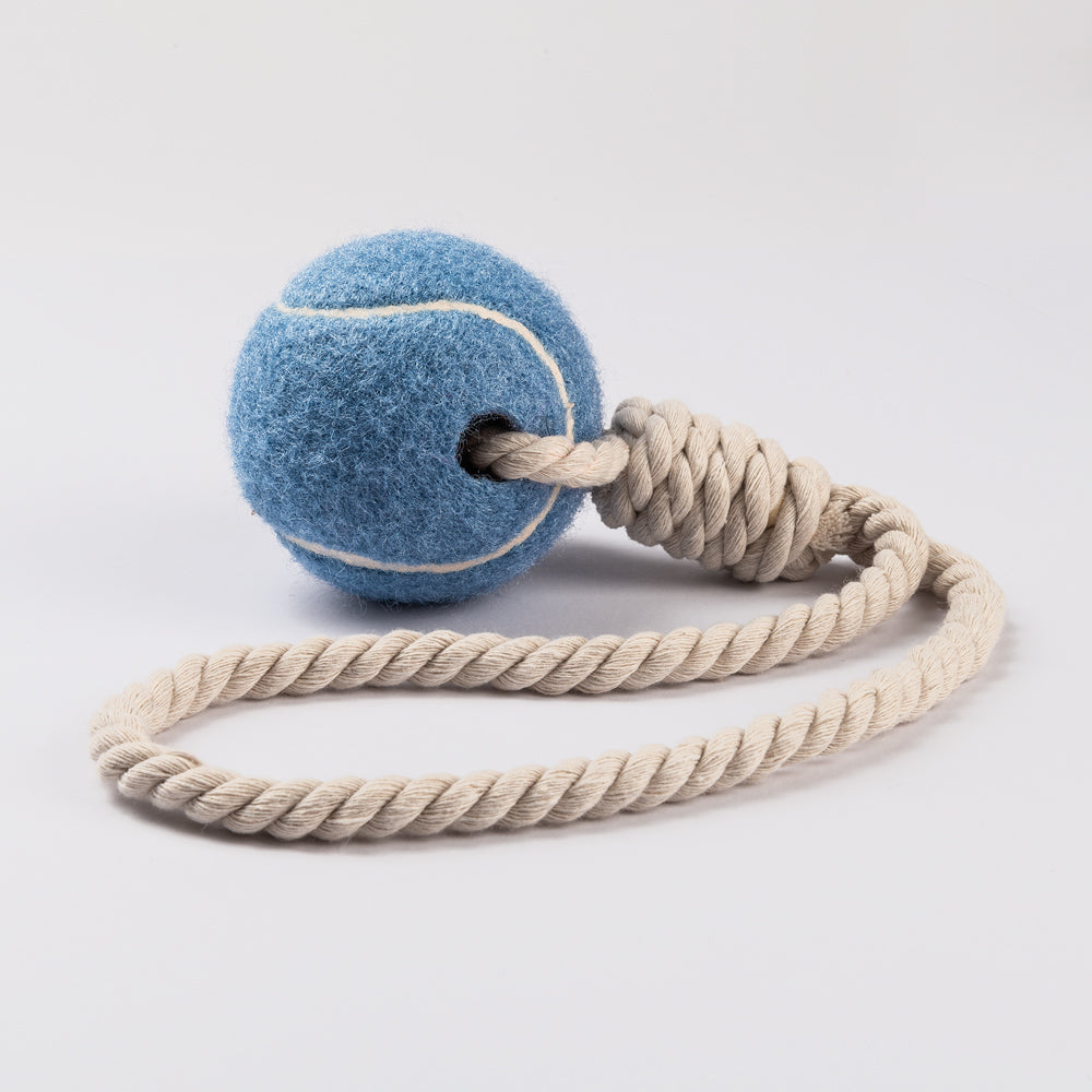 Dog Tennis Ball with Rope - Blue