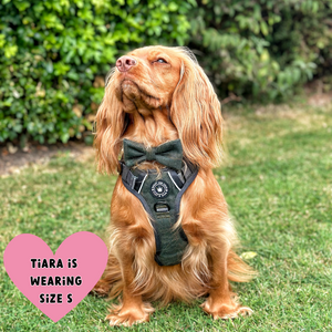 Trail & Glow Tweed Dog Harness - Forest Tweed