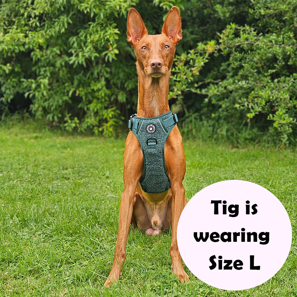 Good2go front clearance walking dog harness