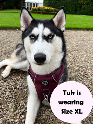 Trail & Glow® Dog Harness - Mulberry Tweed.