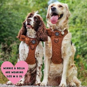 Trail & Glow® Dog Harness Bundle Set - Teddy Bear