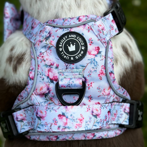 Trail & Glow® Dog Harness Bundle Set - Peony Blossom