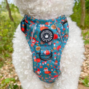 Trail & Glow® Dog Harness Bundle Set - Woodland Magic