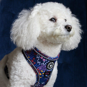 Adjustable Glow Harness® - Enchanted - Bailey and Coco (UK)