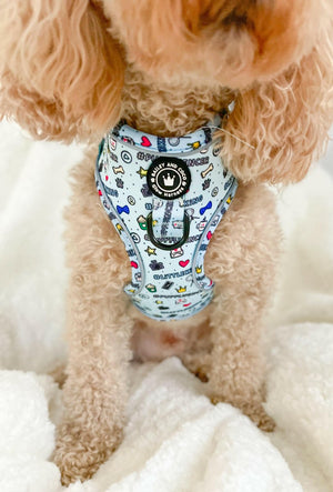 Adjustable Glow Harness® - Pupfluencer Little King - Bailey and Coco (UK)