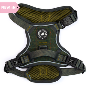 Green Tweed Dog Harness