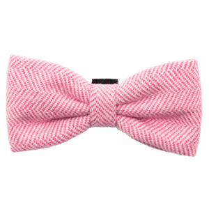 Bow Tie - Bubblegum Pink Tweed - Bailey and Coco (UK)