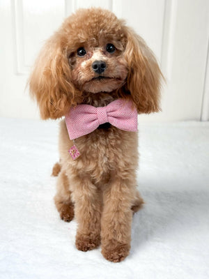 Bow Tie - Bubblegum Pink Tweed - Bailey and Coco (UK)