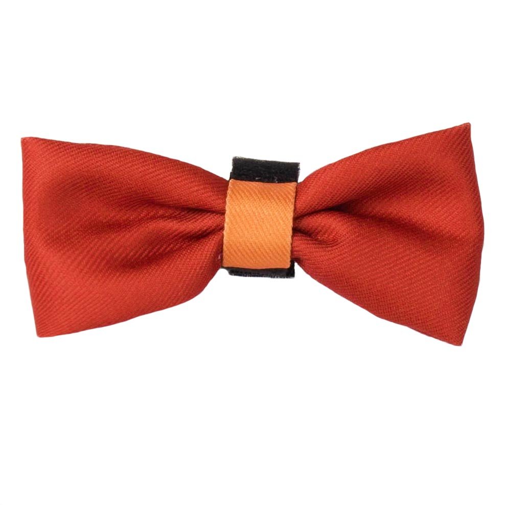 Bow Tie - COLOUR DROPS® - Spice it up - Bailey and Coco (UK)