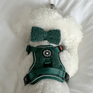 Bow Tie - Emerald Teddy - Bailey and Coco (UK)