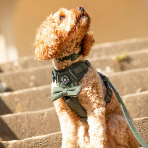 Bow Tie - Forest Tweed - Bailey and Coco (UK)