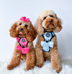 Bow Tie - Ocean Breeze - Bailey and Coco (UK)