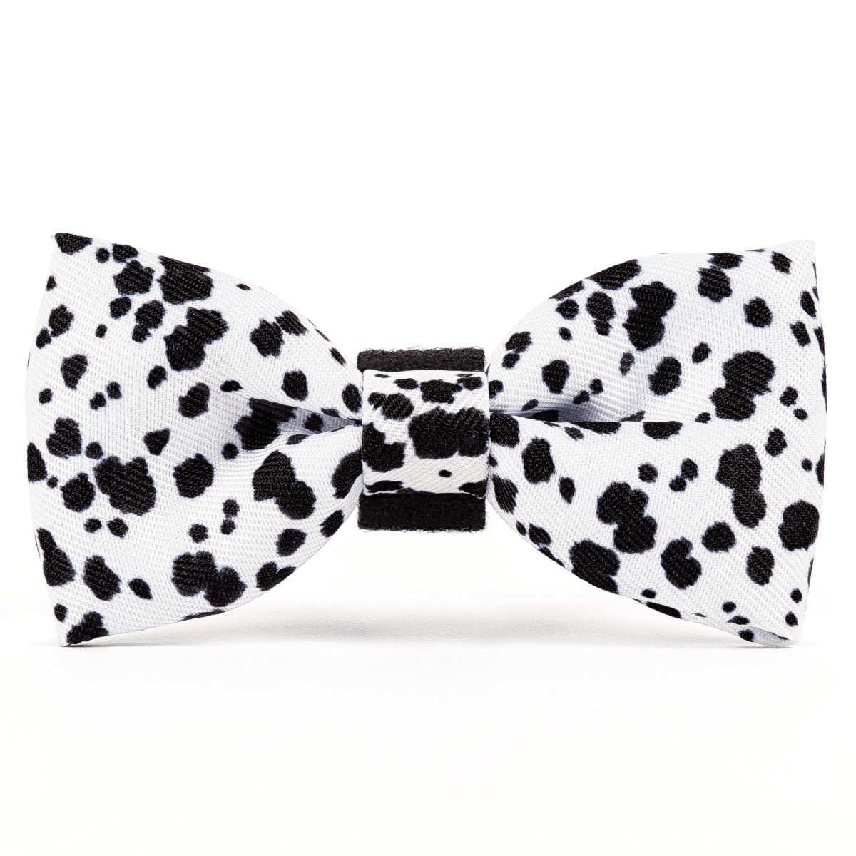 Bow Tie - On The Dot Dalmatian - Bailey and Coco (UK)