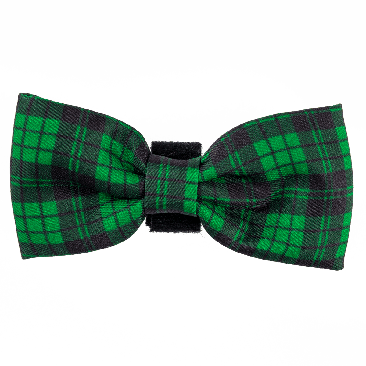 Bow Tie - Tartan Green - Bailey and Coco (UK)