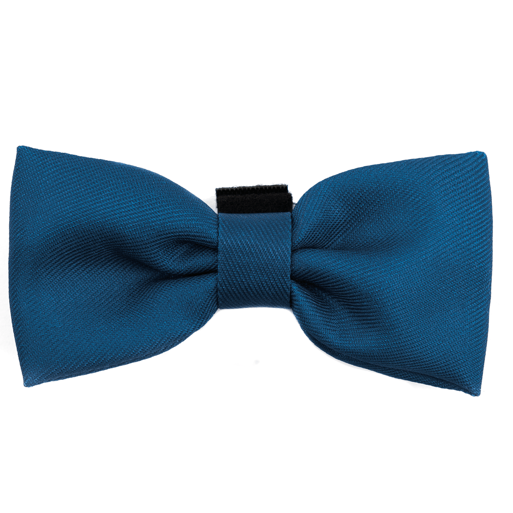 Bow Tie - The Ink Blue One - Bailey and Coco (UK)