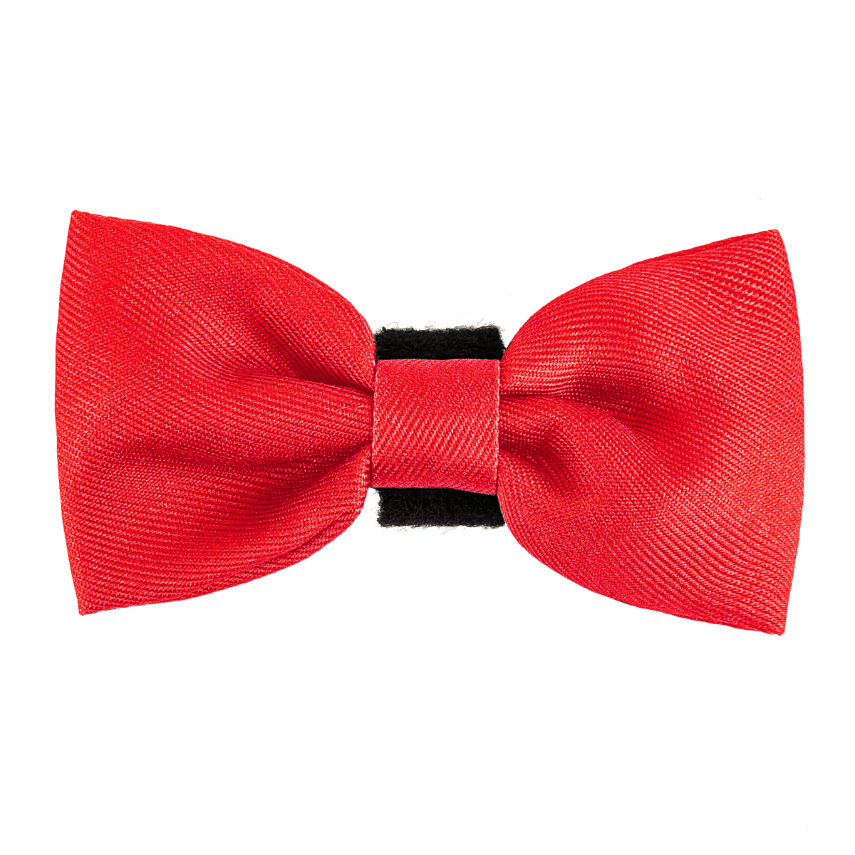 Bow Tie - The Red One - Bailey and Coco (UK)