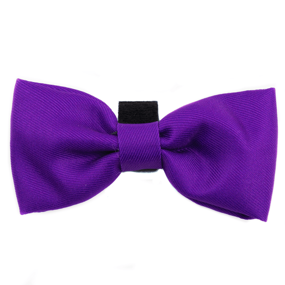 Bow Tie - The Royal Purple One - Bailey and Coco (UK)