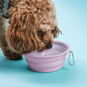 Collapsible Dog Water Bowl - Lilac Mist - Bailey and Coco (UK)