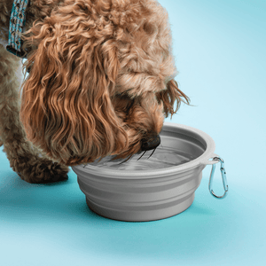 Collapsible Dog Water Bowl - Pebble Grey - Bailey and Coco (UK)