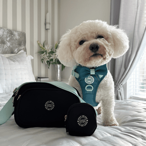 Create Your Own Dog Walking Bag - Black - Bailey and Coco (UK)