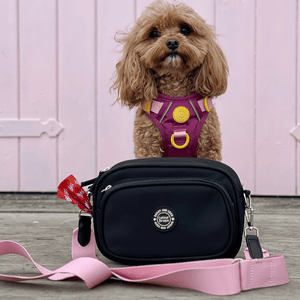 Create Your Own Dog Walking Bag - Black - Bailey and Coco (UK)