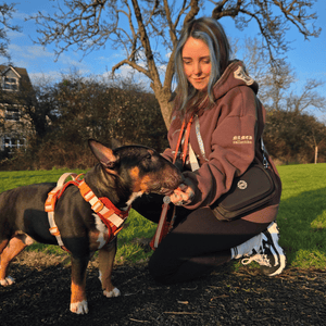 Create Your Own Dog Walking Bag - Black - Bailey and Coco (UK)