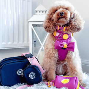 Create Your Own Dog Walking Bag - Black - Bailey and Coco (UK)