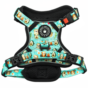 Dog Harness and Lead Set - All I Avo Wanted - Bailey and Coco (UK)