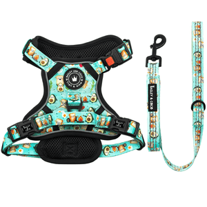 Dog Harness and Lead Set - All I Avo Wanted - Bailey and Coco (UK)