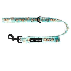 Dog Harness and Lead Set - All I Avo Wanted - Bailey and Coco (UK)