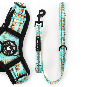 Dog Harness and Lead Set - All I Avo Wanted - Bailey and Coco (UK)