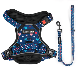 Dog Harness and Lead Set - All You Need Is Love - Bailey and Coco (UK)