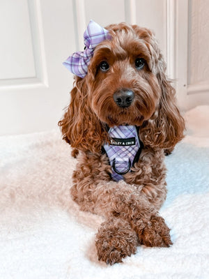 Dog Harness and Lead Set - Lilac Haze - Bailey and Coco (UK)