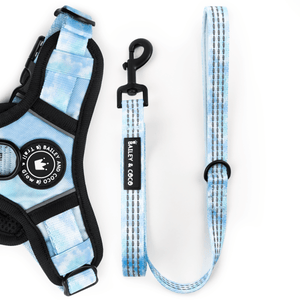 Dog Harness and Lead Set - Ocean Breeze - Bailey and Coco (UK)