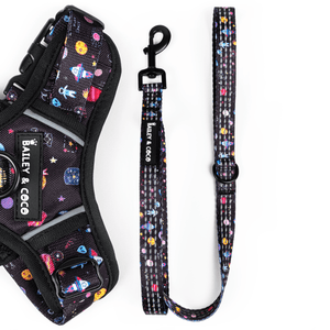 Dog Harness and Lead Set - Space Paws - Bailey and Coco (UK)