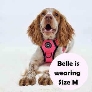 Dog Harness and Lead Set - The Hot Pink One - Bailey and Coco (UK)