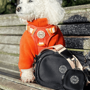 Dog Walking Bag - Black with Spice It Up Strap - Bailey and Coco (UK)