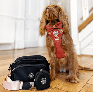 Dog Walking Bag - Black with Spice It Up Strap - Bailey and Coco (UK)