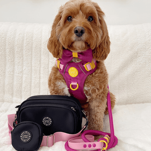 Dog Walking Bag - Black with We're Jammin' Strap - Bailey and Coco (UK)