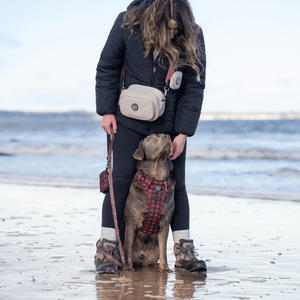 Dog Walking Bag - Latte with Ice Teal Strap - Bailey and Coco (UK)