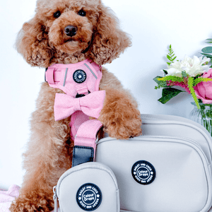 Dog Walking Bag - Latte with Spring Dreams Strap - Bailey and Coco (UK)