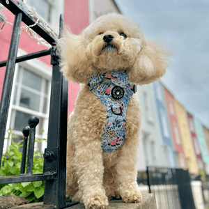 Front Clip Dog Harness - Spring Dreams - Bailey and Coco (UK)